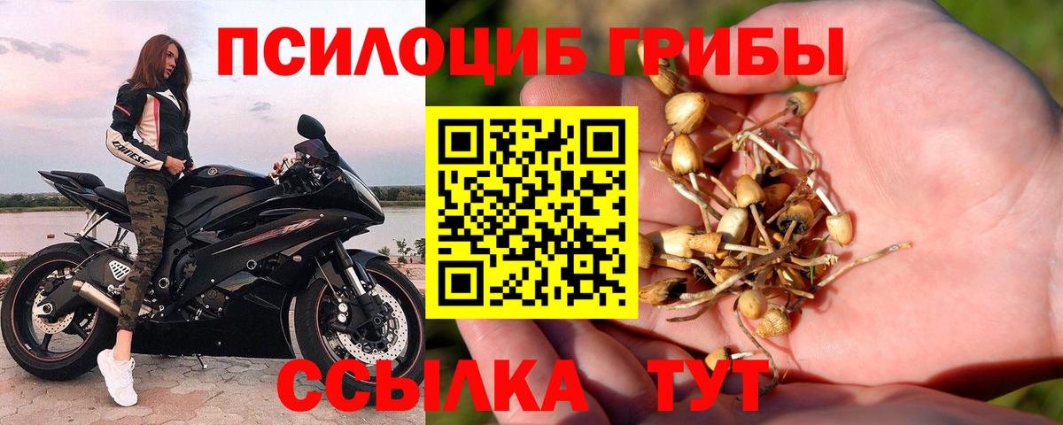 Галлюциногенные грибы MAGIC MUSHROOMS Гагарин